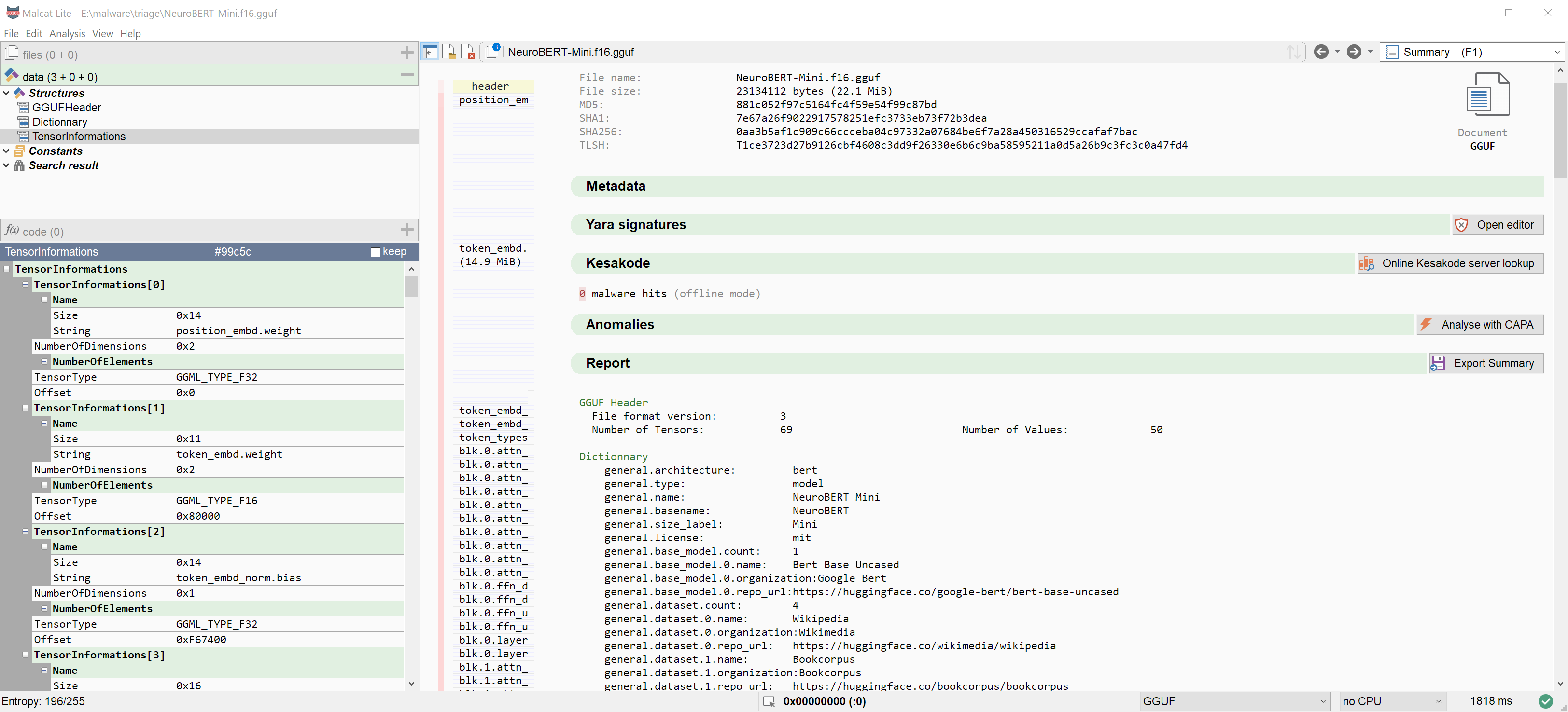 GGUF file analysis in Malcat