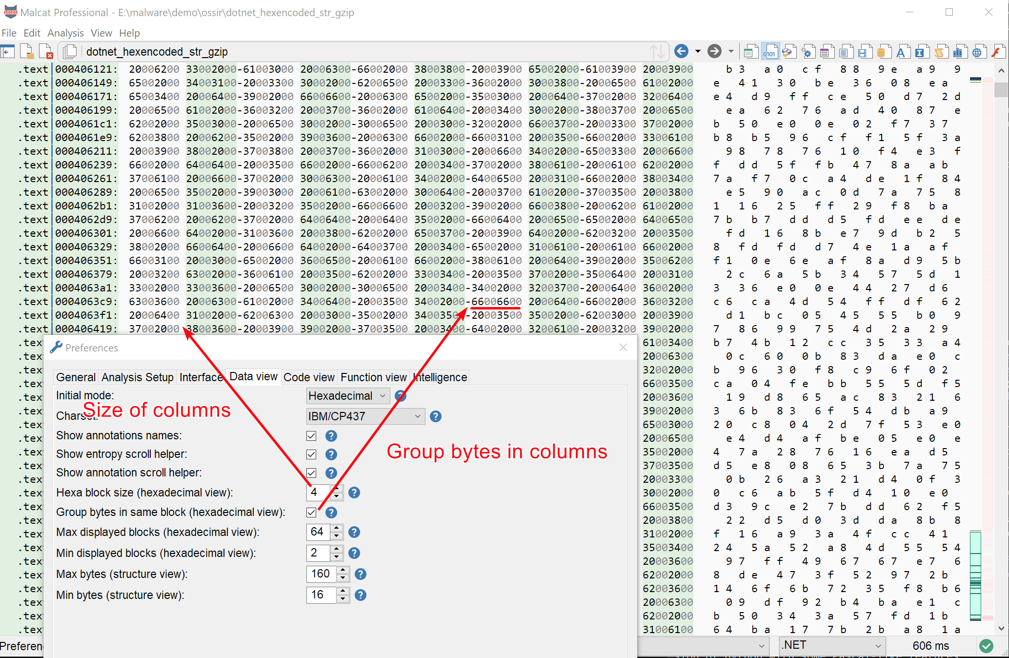 Hexadecimal view new column options