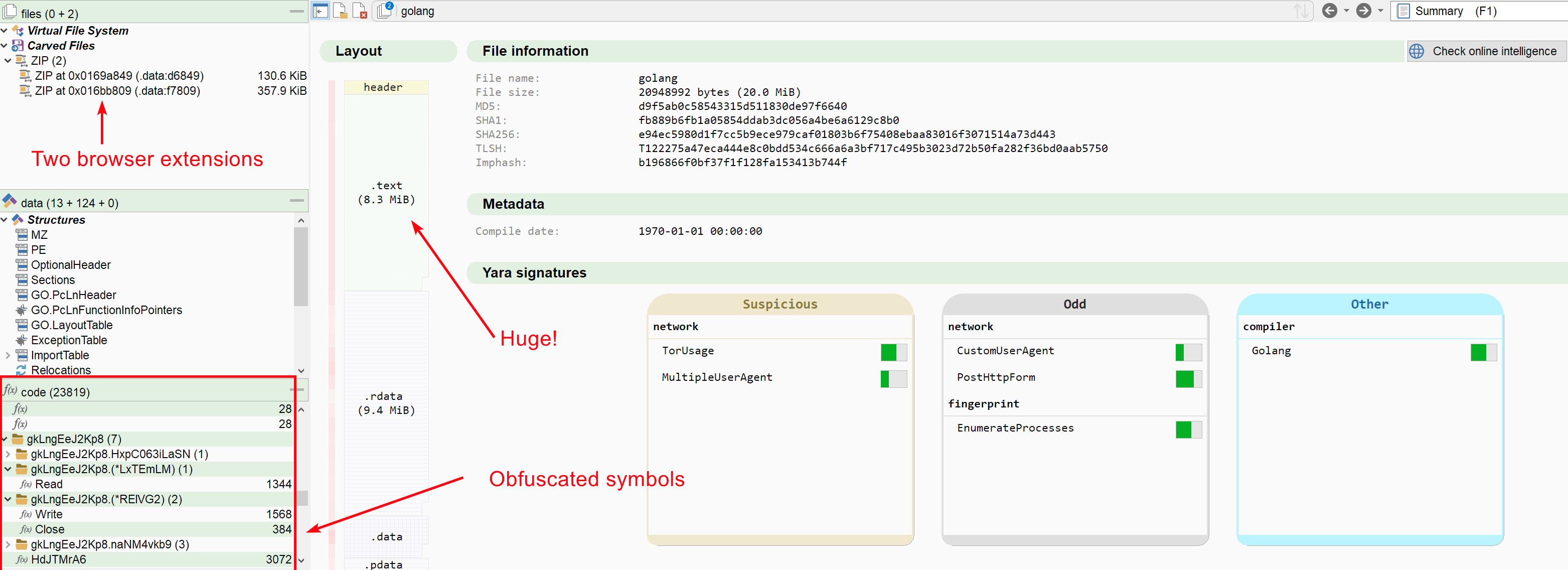 A  Huge Golang binary