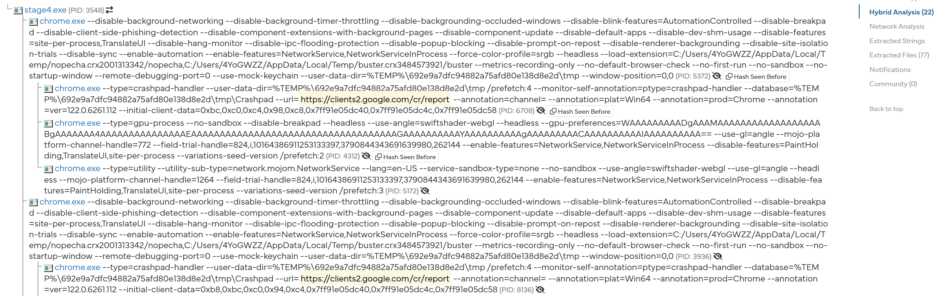 Hybrid analysis: headless chrome instances are started