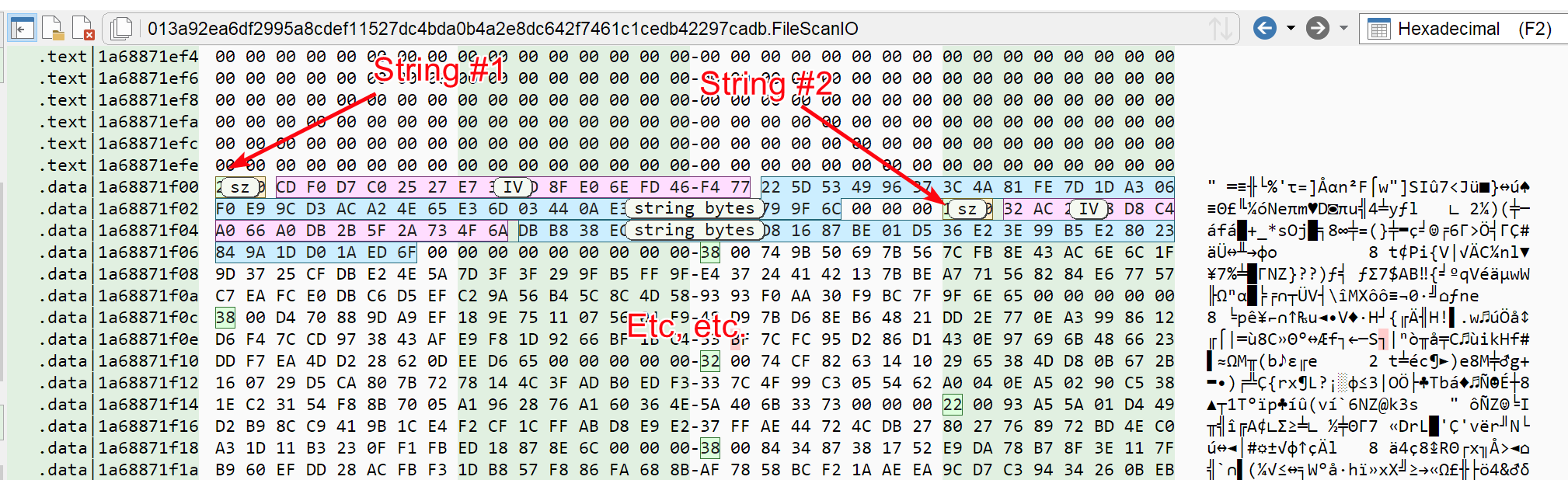 Latrodectus string format