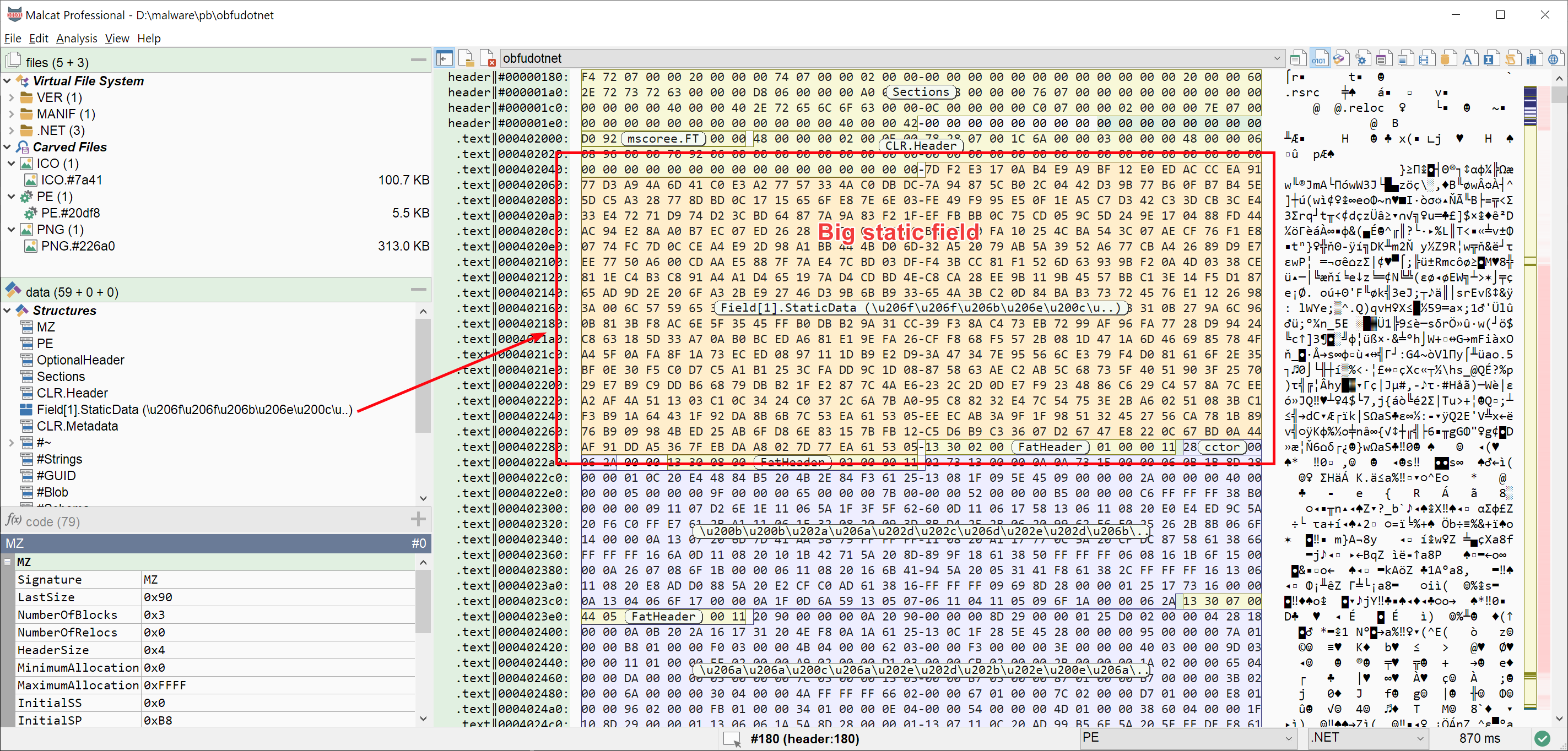 The .NET parser can now identify static field data