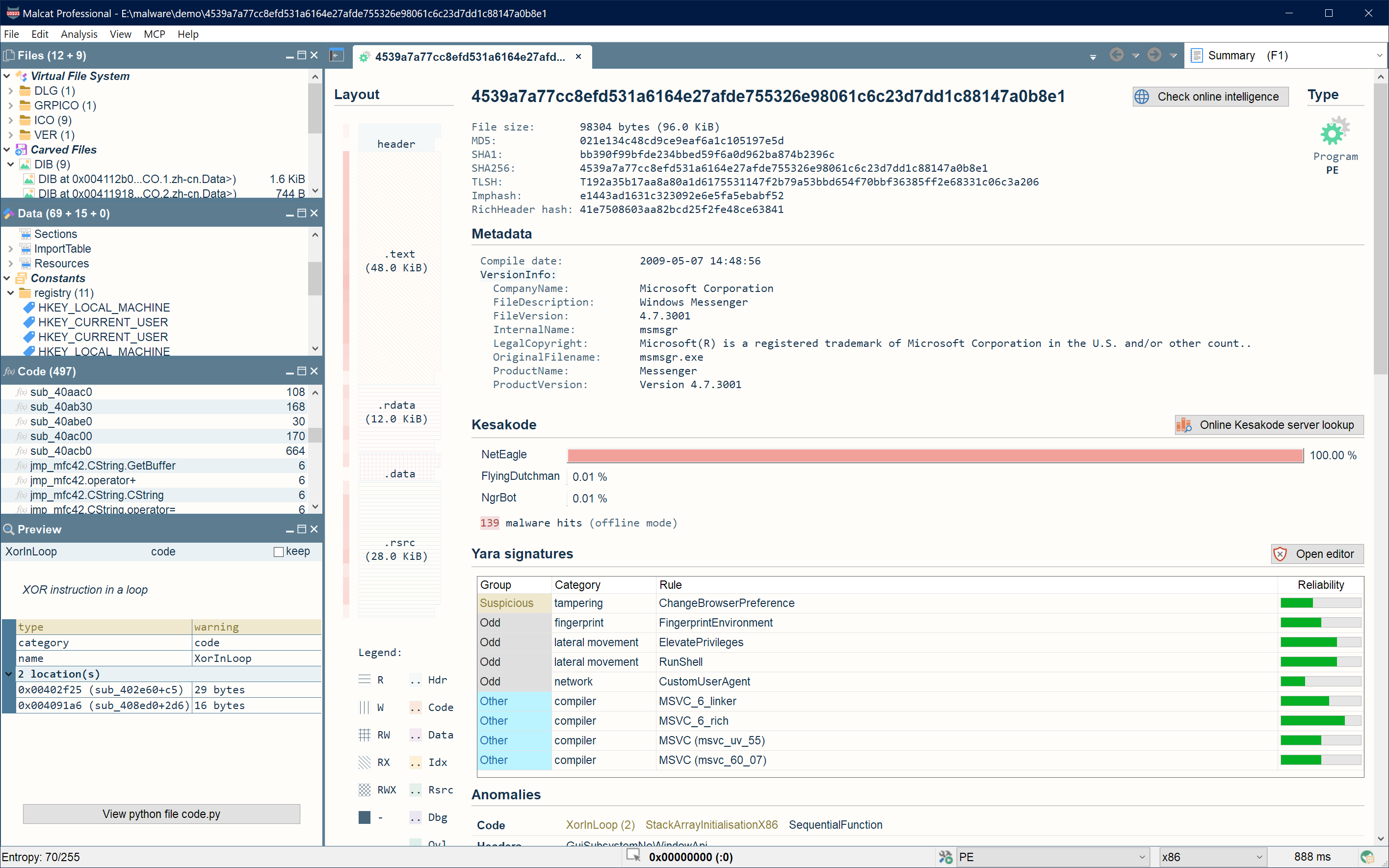 Malcat summary view showing file layout, metadata and anomalies